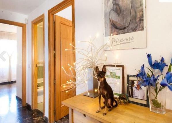 Leilighet Penthouse With Private Roof Terrace And Jacuzzi Fuengirola